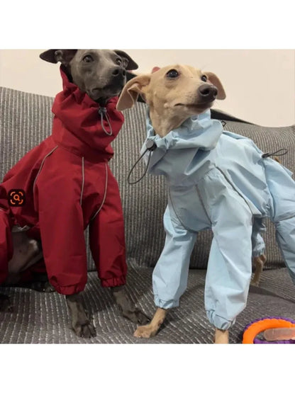Tailored Sighthound Windproof Raincoat