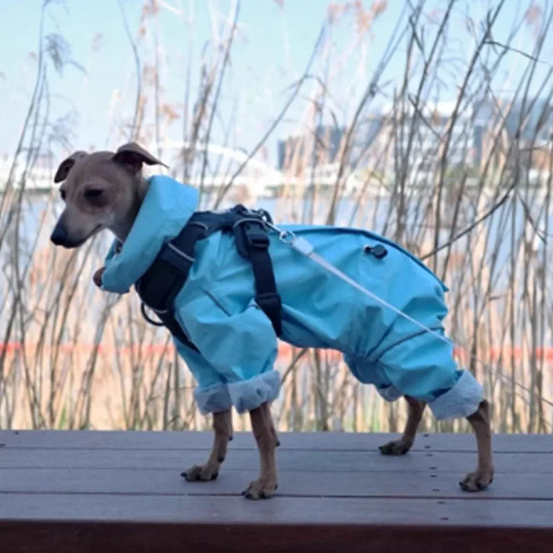 Tailored Sighthound Windproof Raincoat